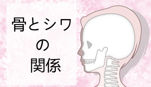 【実践美容法】骨美人になる方法！骨を若返らせて若見え効果