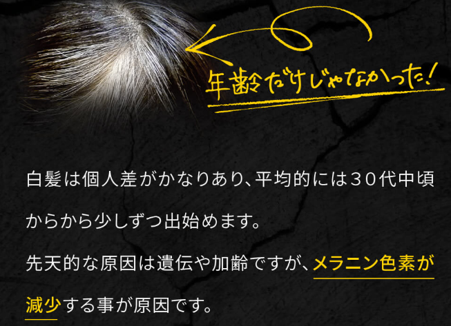 白髪を黒髪に戻すシャンプー 市販で買えるおすすめはどれ 成分 お値段で比較