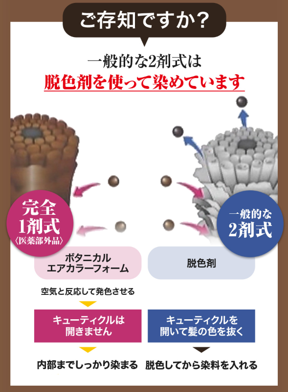 ボタニカルエアカラーフォーム 空気で染まる白髪染め 永久染毛剤が泡でできる